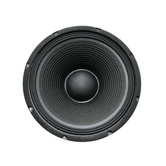 12" 250W Replacement Speaker FTS 12F250