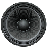 12" 250W Replacement Speaker FTS 12F250