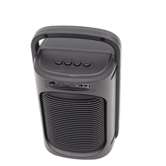 FTS DESE 3" Portable Speaker(FTS-BS111C)