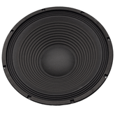 FTS 15'' Loose Speaker 300W FTS-15F300
