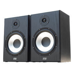 FTS 8'' Single Passive Speaker Pair FTS-S08 BK