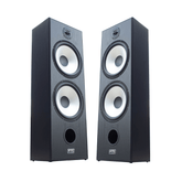 FTS 8'' Dual Passive Speaker Pair 60-120W Black (FTS-D08)