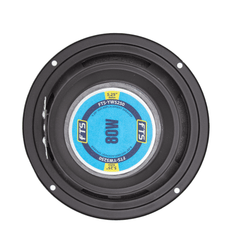 FTS 5.25'' 60W Hi-Fi Replacement Woofer Foam Surround YW5250