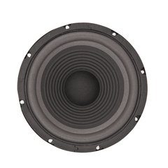 FTS 8'' 150W Hi-Fi Replacement Woofer Foam Surround YW8010