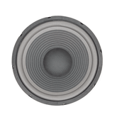 FTS 10'' 200W Hi-Fi Replacement Woofer Foam Surround YW1020