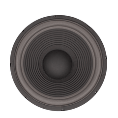 FTS 12''Hifi Replacement Woofer Foam Surround 250W YW1230