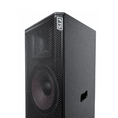 FTS 15" Double Speaker FTS1115D MKIIl