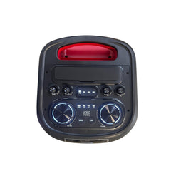 Kokota 12'' Double Portable Plastic Battery Speaker FTS-TS12 MKII