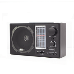 FTS GOGO PORTABLE RADIO (FTS-TS65)