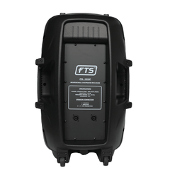 FTS 15" Plastic Moulded 250W Speaker FTS 1515P
