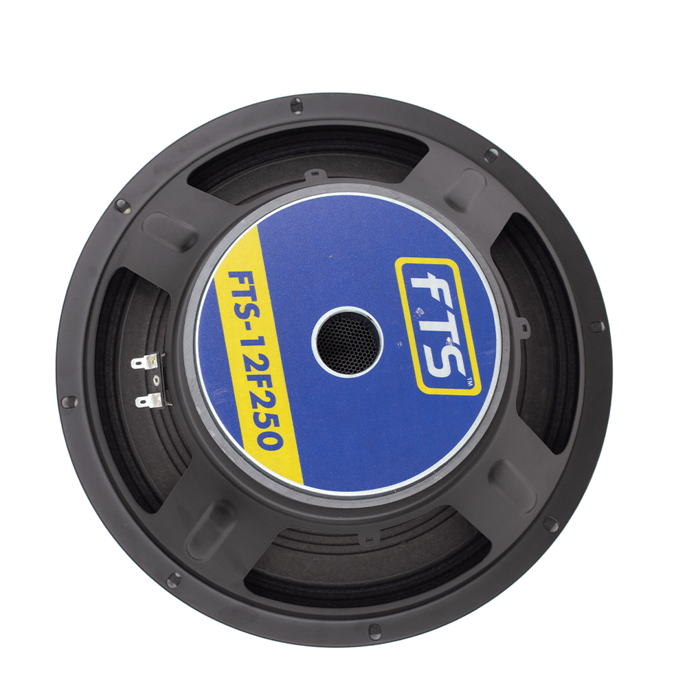 12" 250W Replacement Speaker FTS 12F250