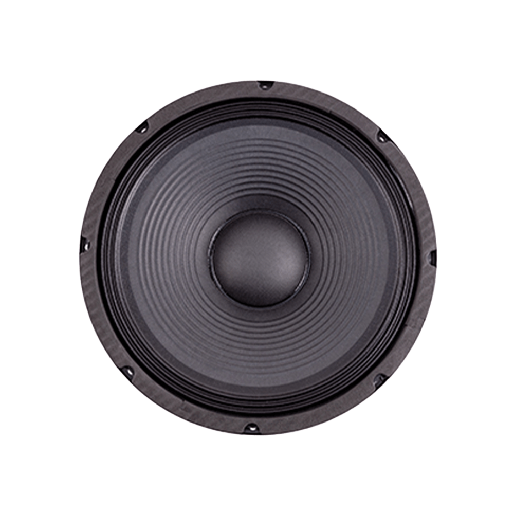 12" 250W Replacement Speaker FTS 12F250
