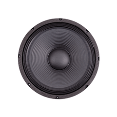 12" 250W Replacement Speaker FTS 12F250