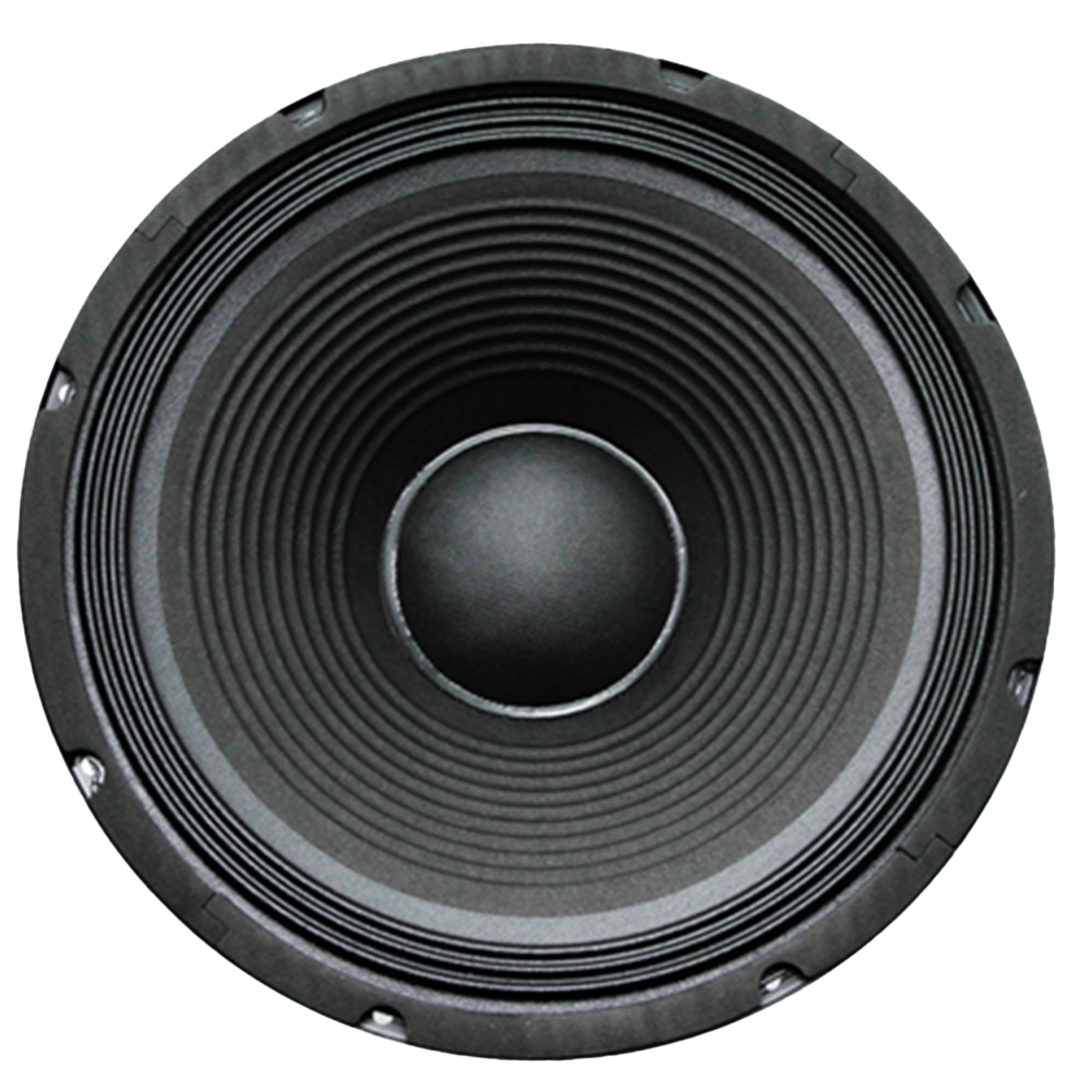 12" 250W Replacement Speaker FTS 12F250