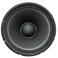12" 250W Replacement Speaker FTS 12F250
