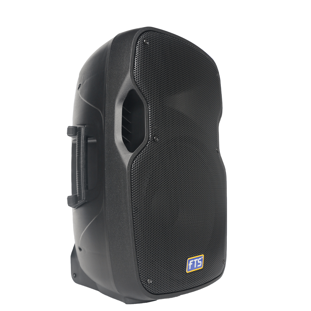 FTS 12" Plastic Moulded Passive Speaker FTS 1212P