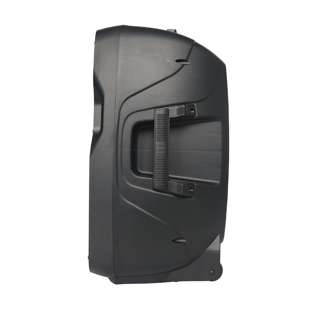 FTS 12" Plastic Moulded Passive Speaker FTS 1212P
