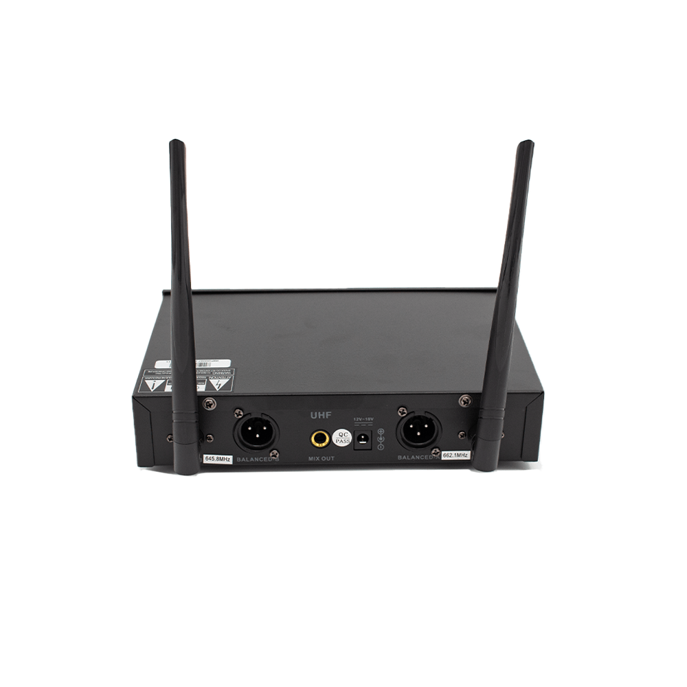FTS Dual Handheld Wireless Microphones FTS KU300