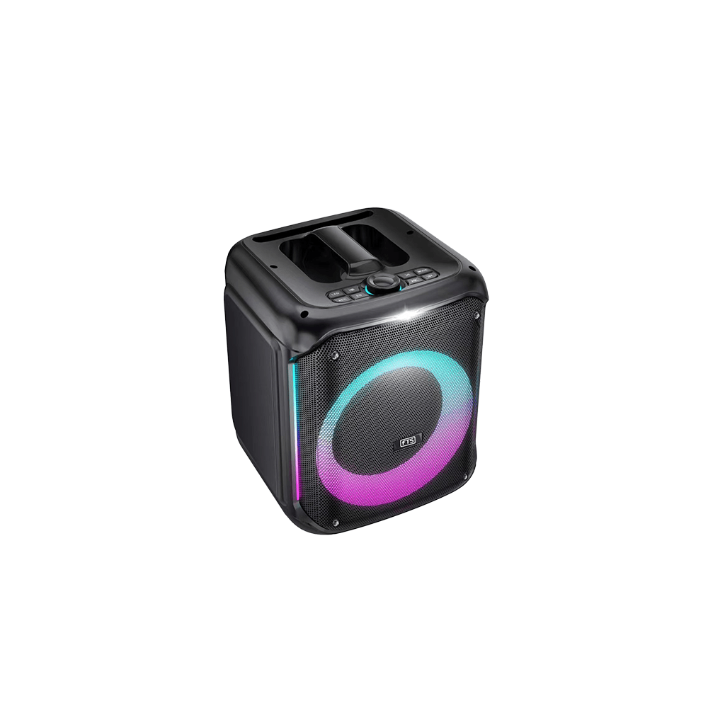 FTS 8'' Ingoma High Power Party Speaker with TWS (FTS-2108)