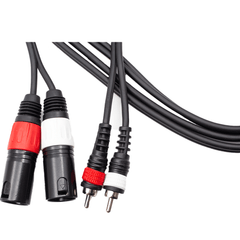 Astro Audio 1.8m C2RCA to 2XLR