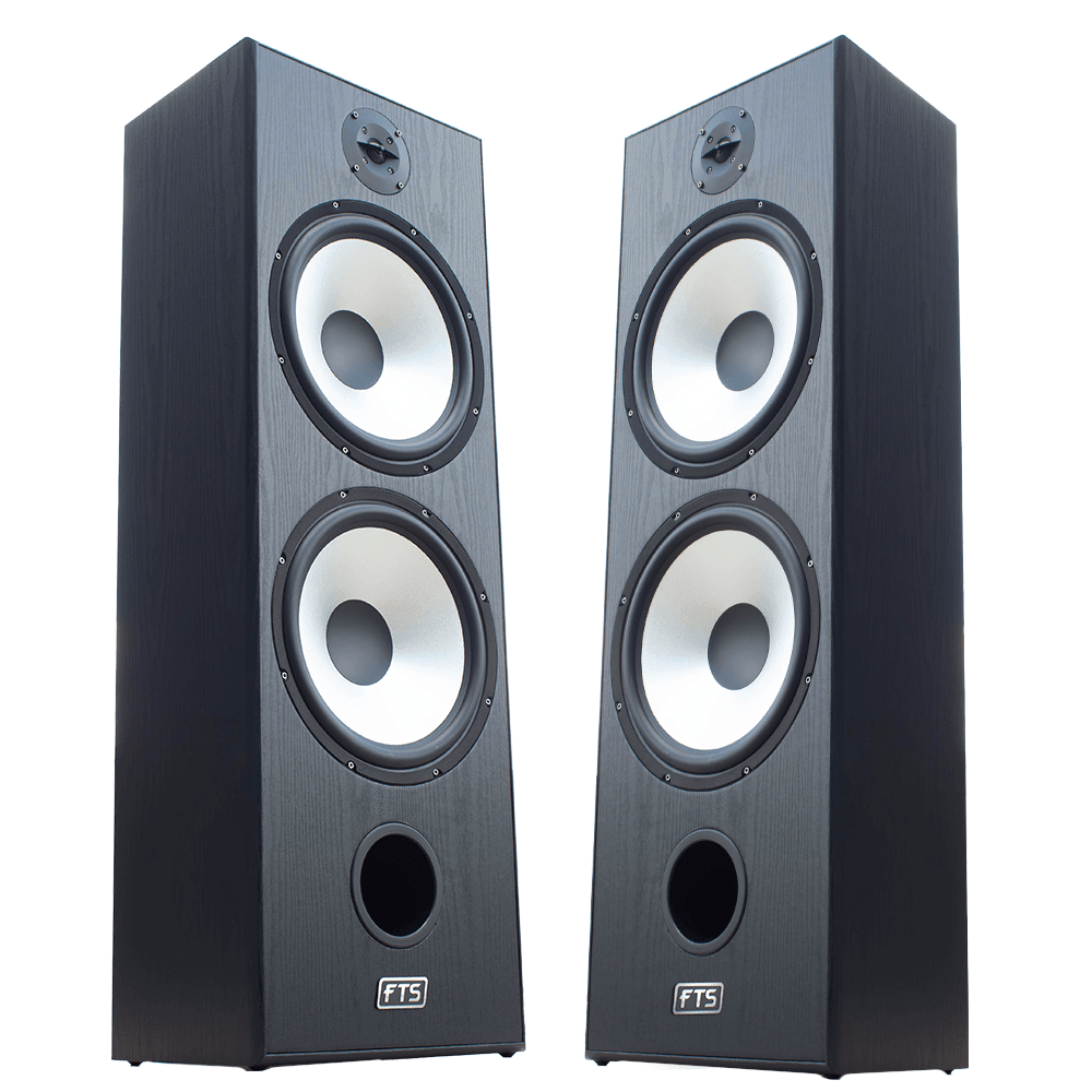 FTS 8'' Dual Passive Speaker Pair 60-120W Black (FTS-D08)