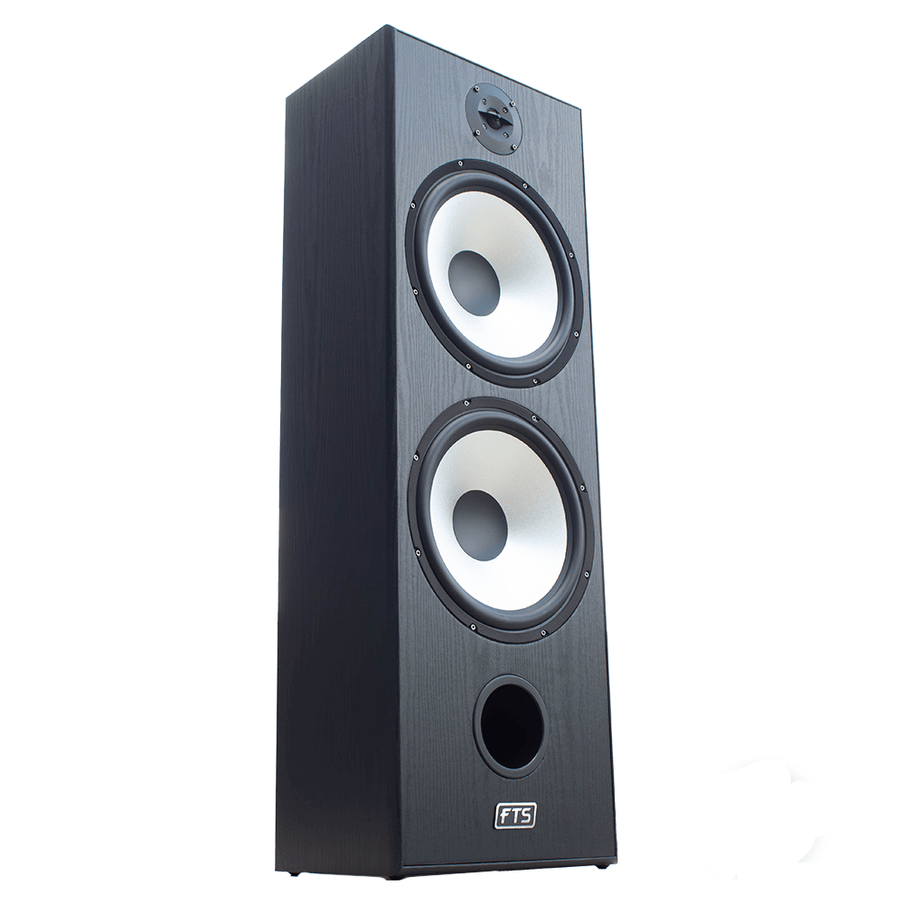 FTS 8'' Dual Passive Speaker Pair 60-120W Black (FTS-D08)