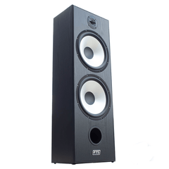 FTS 8'' Dual Passive Speaker Pair 60-120W Black (FTS-D08)