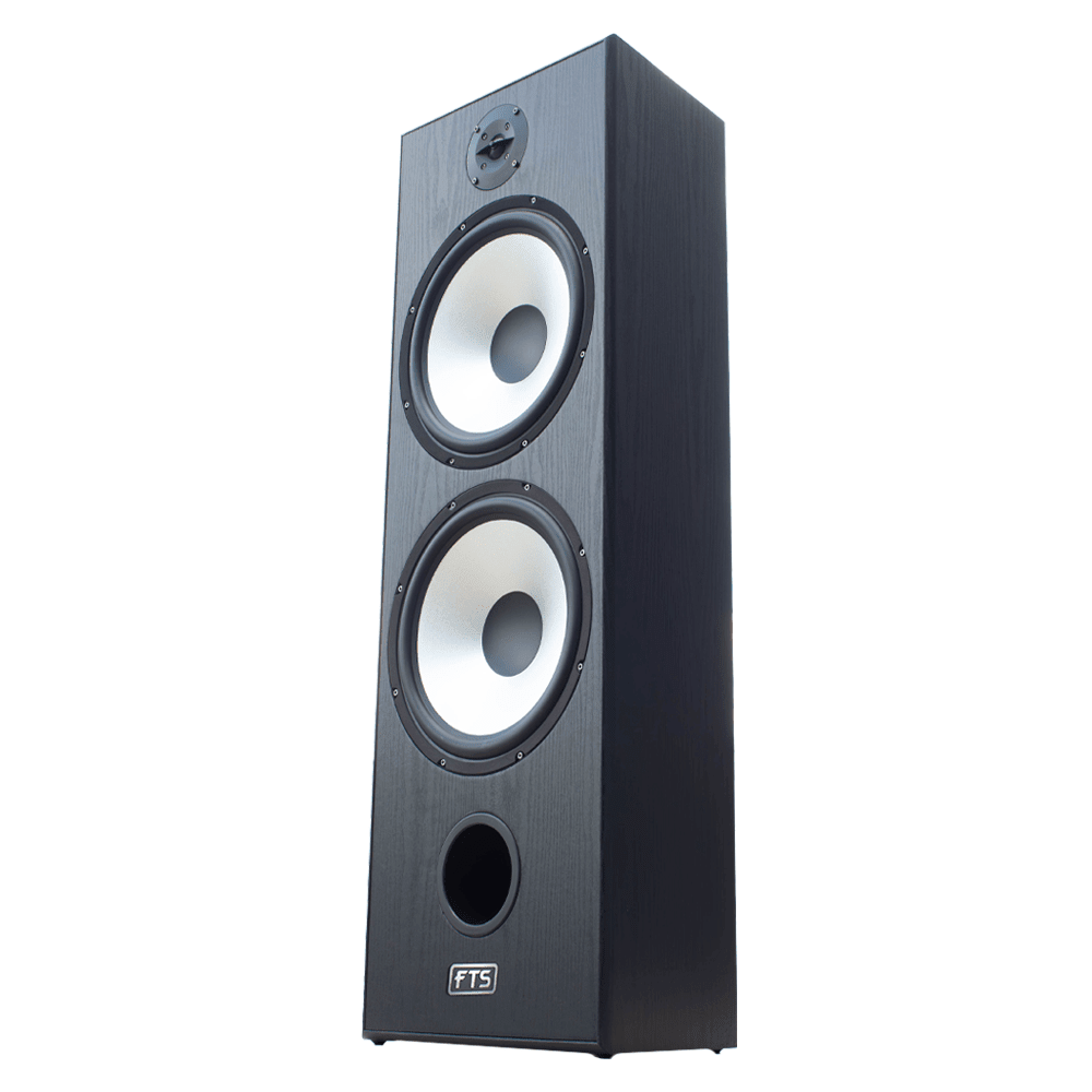 FTS 8'' Dual Passive Speaker Pair 60-120W Black (FTS-D08)