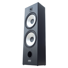 FTS 8'' Dual Passive Speaker Pair 60-120W Black (FTS-D08)