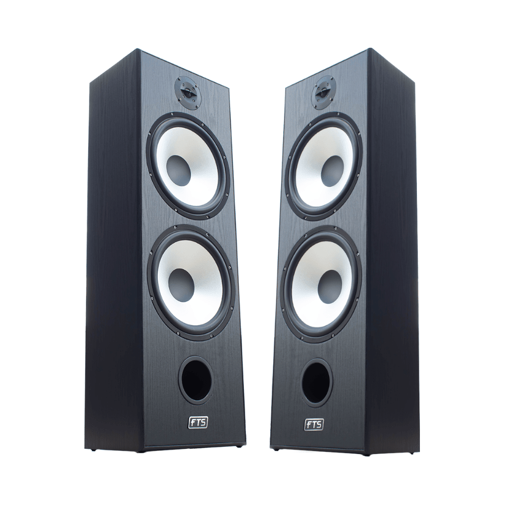 FTS 8'' Dual Passive Speaker Pair 60-120W Black (FTS-D08)