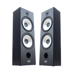 FTS 8'' Dual Passive Speaker Pair 60-120W Black (FTS-D08)