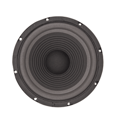 FTS 8'' 150W Hi-Fi Replacement Woofer Foam Surround YW8010