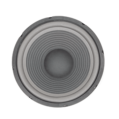 FTS 10'' 200W Hi-Fi Replacement Woofer Foam Surround YW1020
