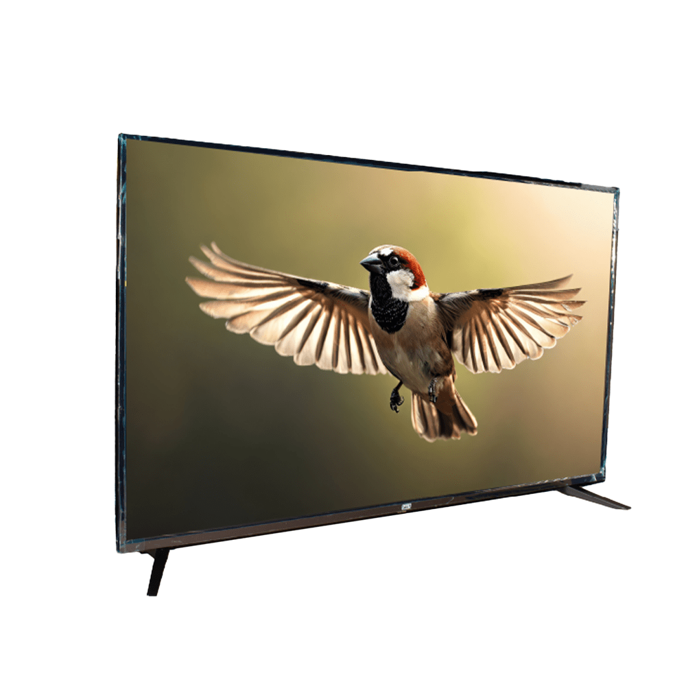 FTS 55" Smart Frameless UHD Led Panel Android 14 FTS-1855SP
