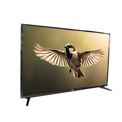 FTS 55" Smart Frameless UHD Led Panel Android 14 FTS-1855SP