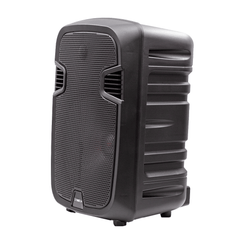 Omega 12" Battery-Powered Outdoor Karaoke Speaker X-AE12