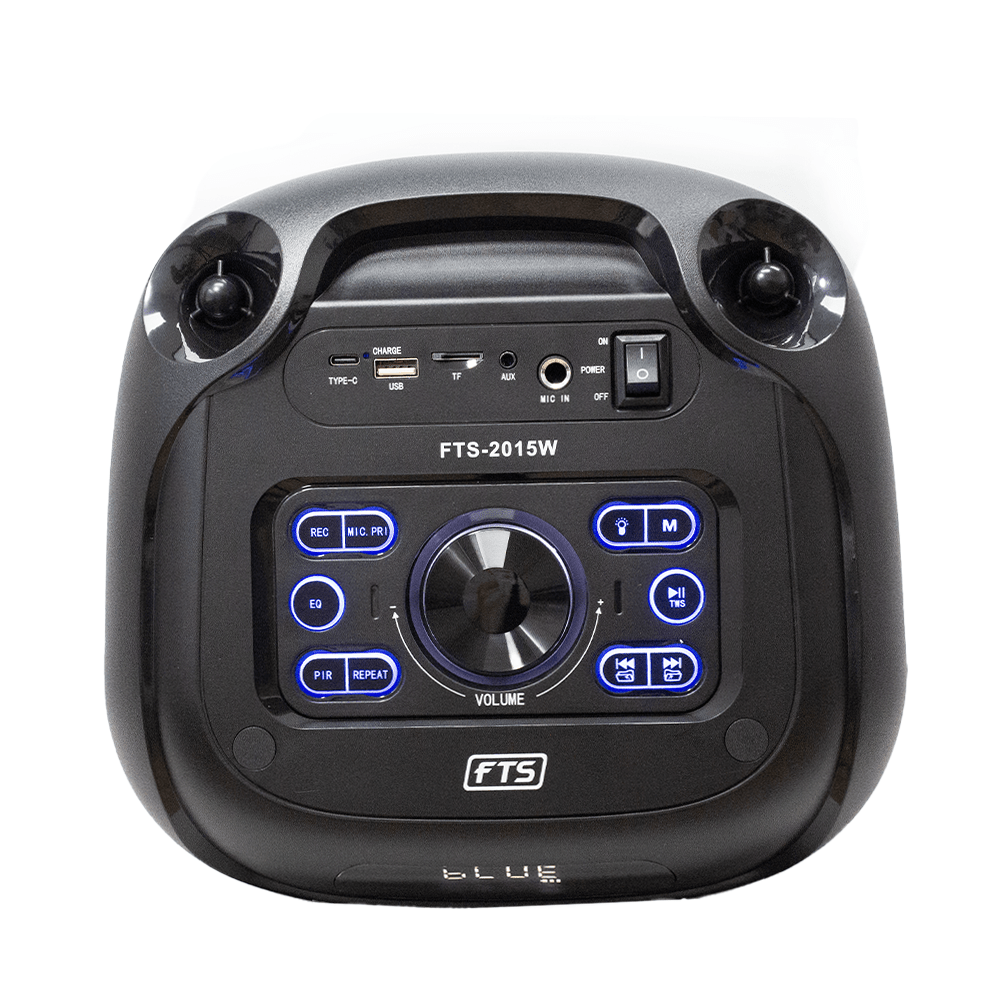 FTS Mzansi Vibe High Power Portable Speaker (FTS-2015W)