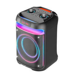 Ingoma Max 8'' Portable Plastic Battery Speaker (FTS-2018B)