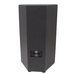 FTS Xtreme  600W 15" Professional Full Range Speaker XT-15