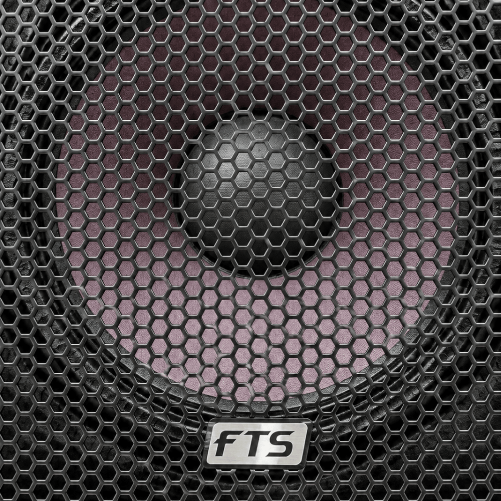 FTS 15" Double Speaker FTS1115D MKIIl