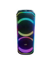 Kokota 12'' Double Portable Plastic Battery Speaker FTS-TS12 MKII