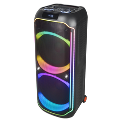Kokota 12'' Double Portable Plastic Battery Speaker FTS-TS12 MKII