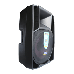 FTS 15" Plastic Passive Speaker FTS 2515P