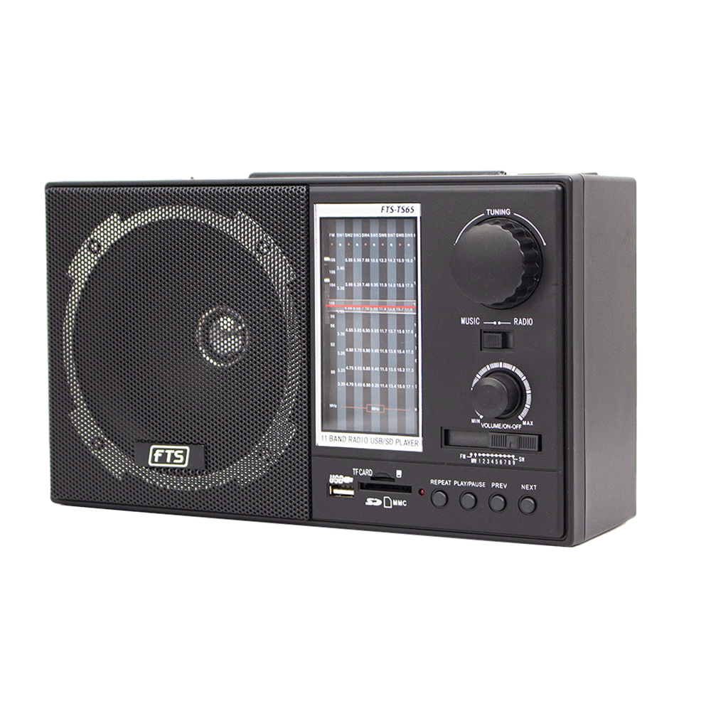 FTS GOGO PORTABLE RADIO (FTS-TS65)