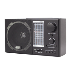 FTS GOGO PORTABLE RADIO (FTS-TS65)