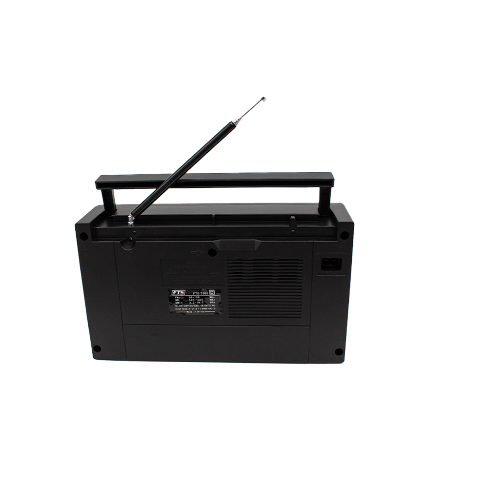 FTS GOGO PORTABLE RADIO (FTS-TS65)