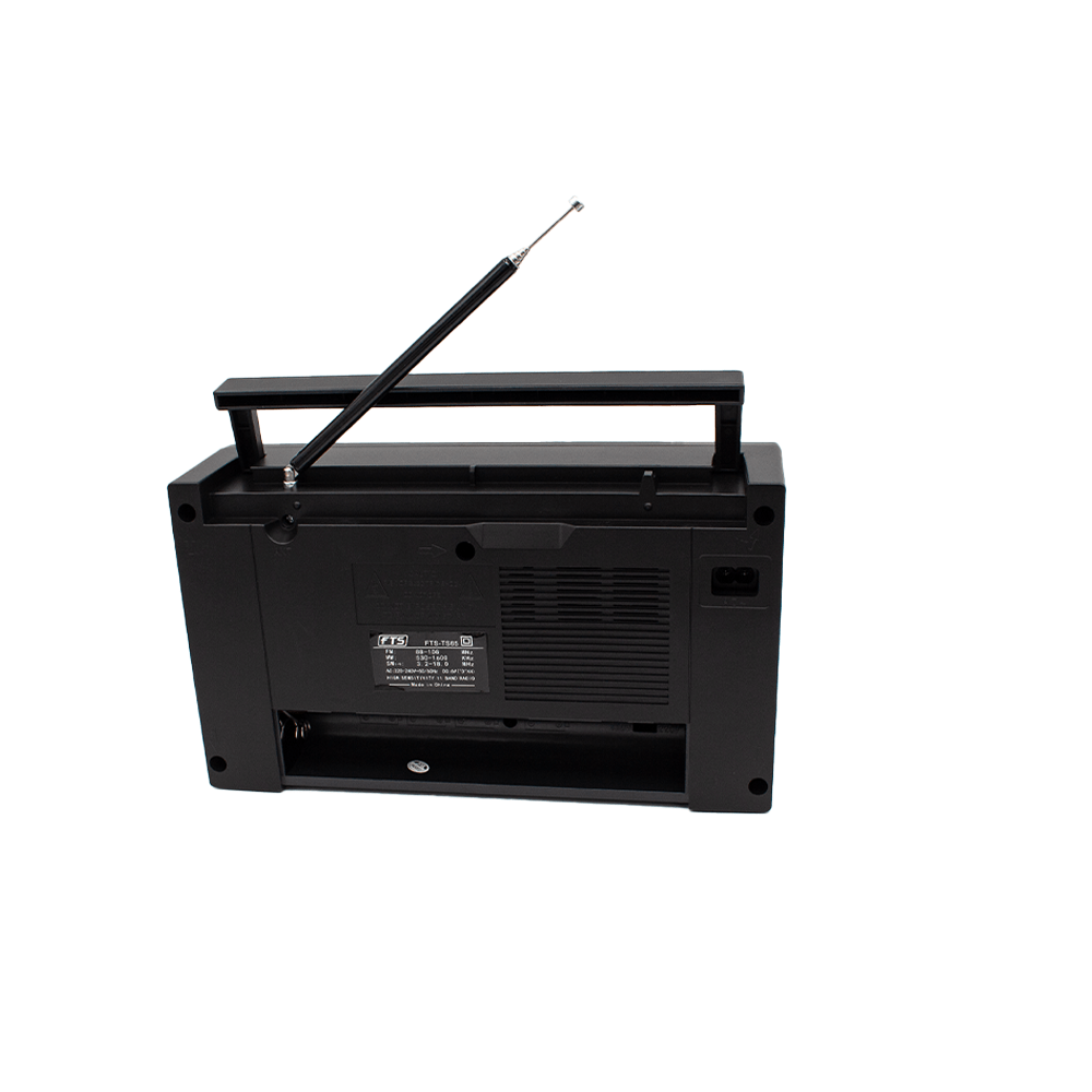 FTS GOGO PORTABLE RADIO (FTS-TS65)