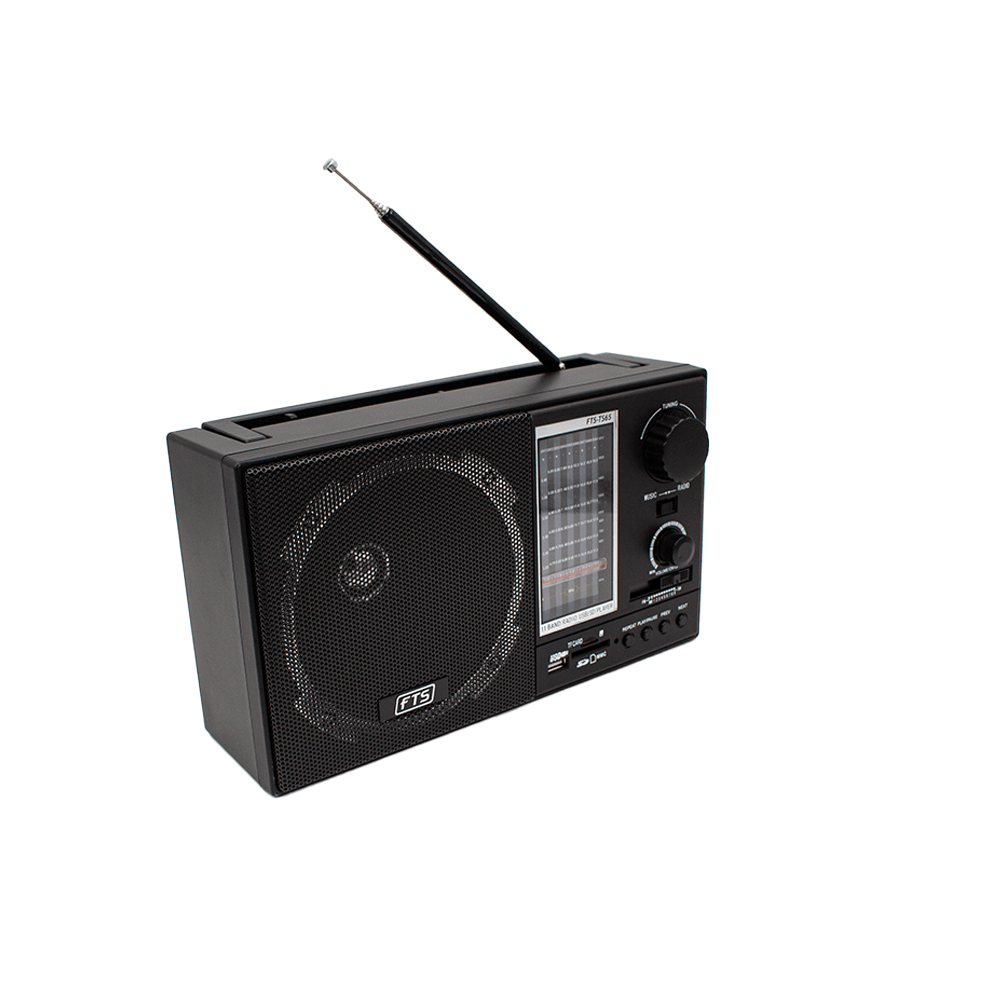 FTS GOGO PORTABLE RADIO (FTS-TS65)