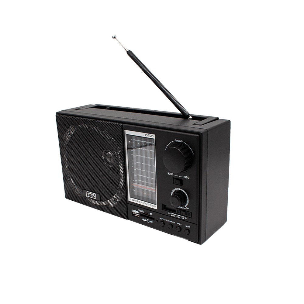 FTS GOGO PORTABLE RADIO (FTS-TS65)