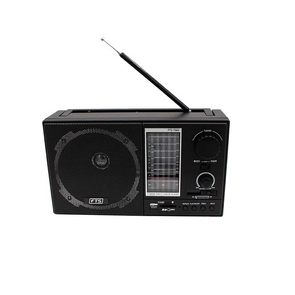 FTS GOGO PORTABLE RADIO (FTS-TS65)